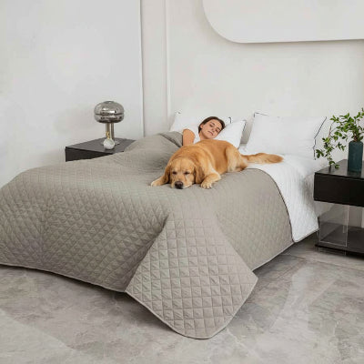 Couvre lit imperméable gris femme endormie avec chien